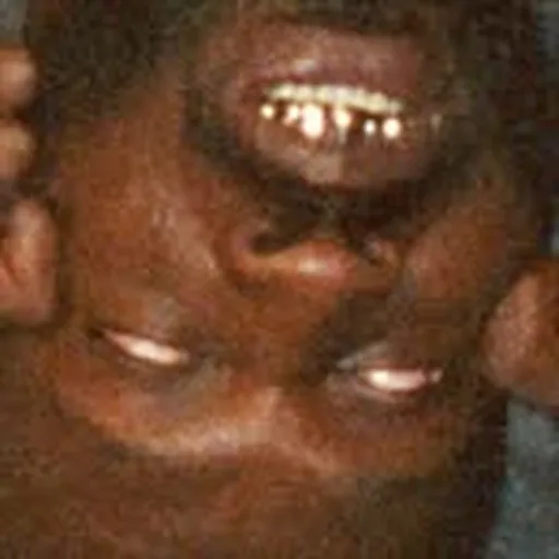 @igotribu profile image
