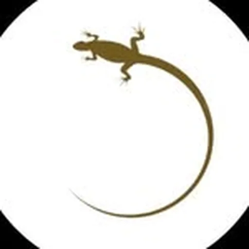 @iguana.yachts profile image