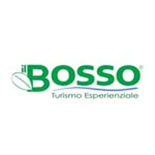 @ilbosso profile image
