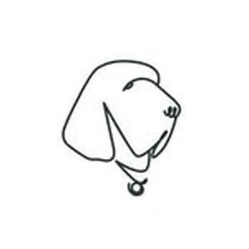 @ilbraccorestaurant profile image