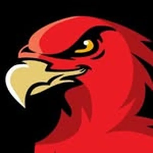 @illawarrahawks profile image