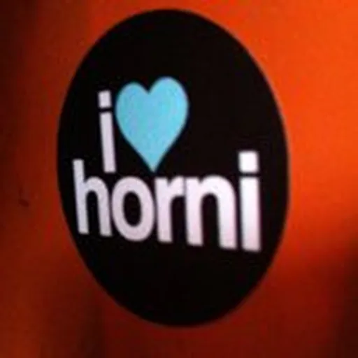 @ilovehorni profile image