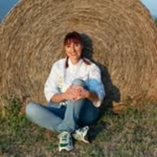 @ilyvip profile image