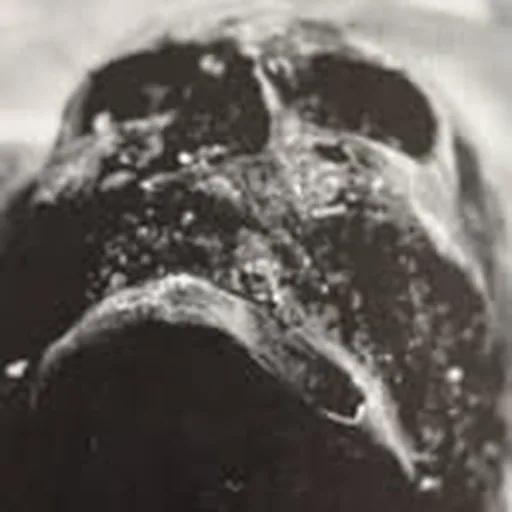 @imaabs profile image