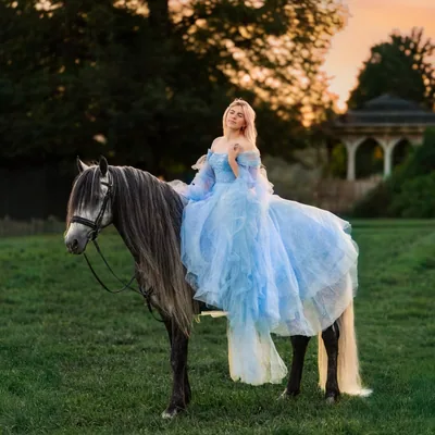 @imperialkingsstables profile image