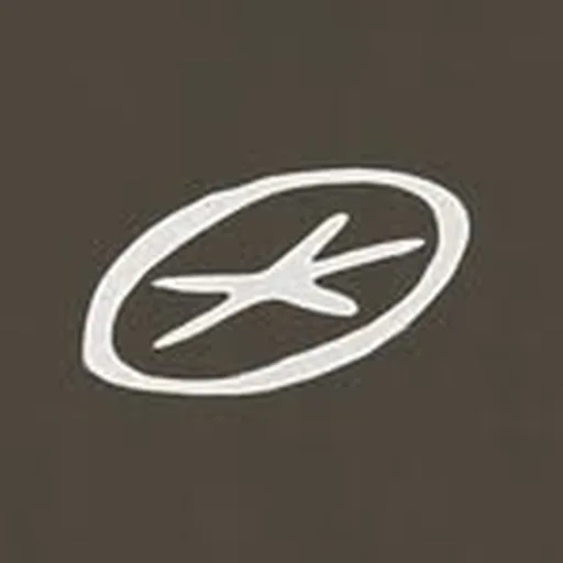 @incolorincolor profile image
