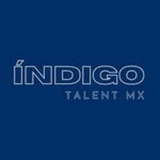 @indigotalent.mx profile image