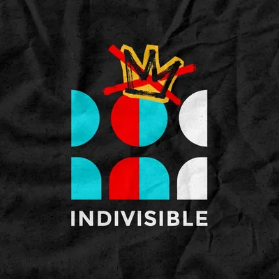 @indivisibleteam profile image