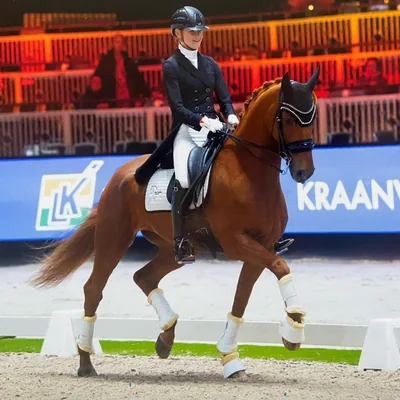 @ines_veldboer_dressage profile image