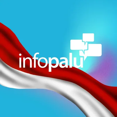 @infopalu profile image