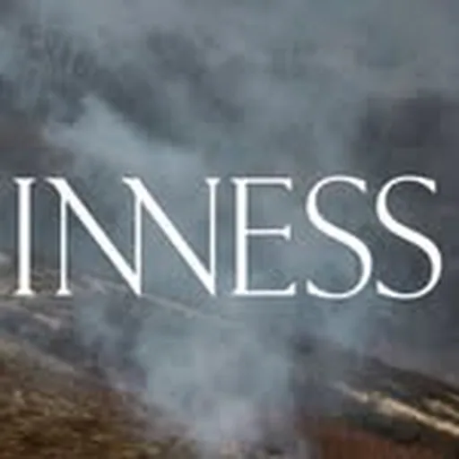 @inness_ny profile image