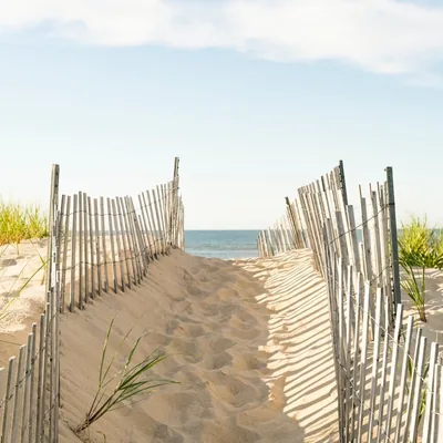 @insiderhamptons profile image