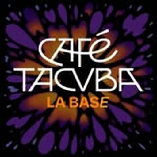 @instacvba profile image