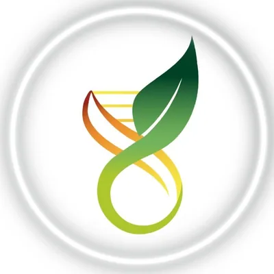 @institutoalphabrasil profile image