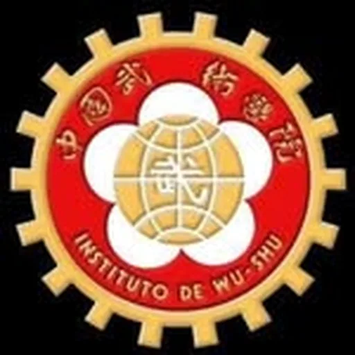 @institutodewushu profile image