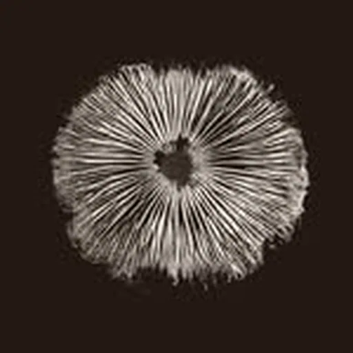 @intentionalagency profile image