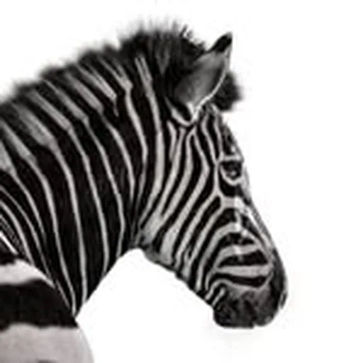@investec profile image
