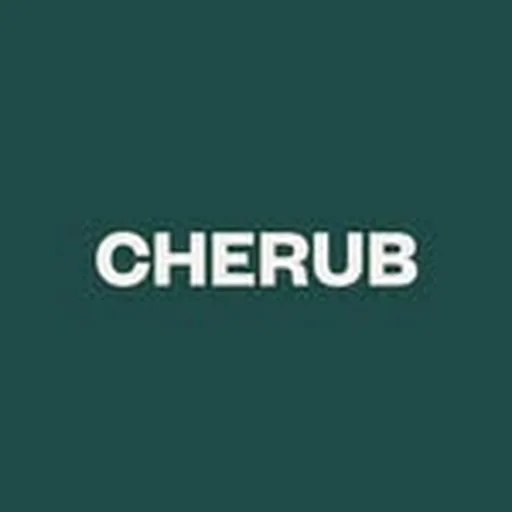 @investwithcherub profile image