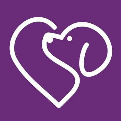 @irishdogsforthedisabled profile image