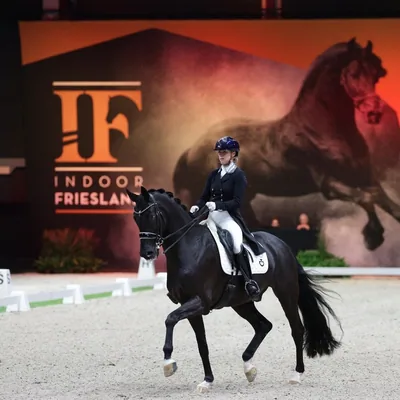 @irissijtsmadressage profile image