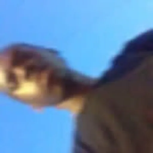 @isaiahull profile image