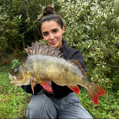 @issa_fishingg profile image
