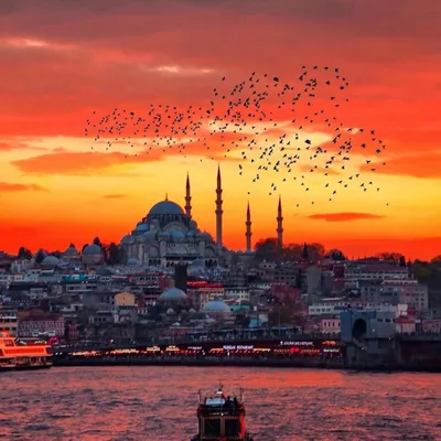 @istanbulcitylover profile image