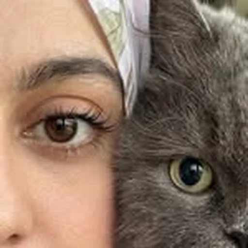 @its_maniha profile image