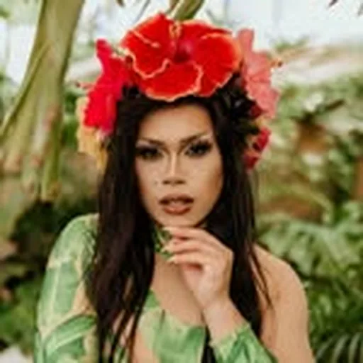 @itshibiscus profile image