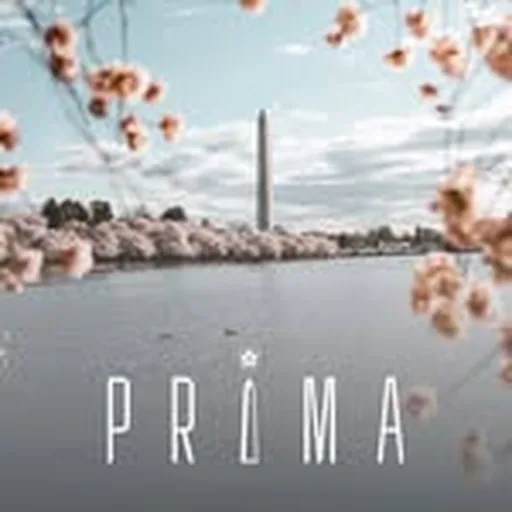 @itsprimadc profile image