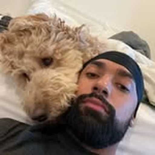 @iversonlutz profile image