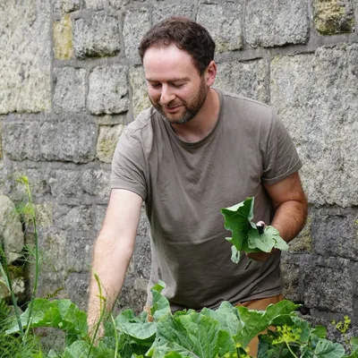 @jackwallingtonnature profile image