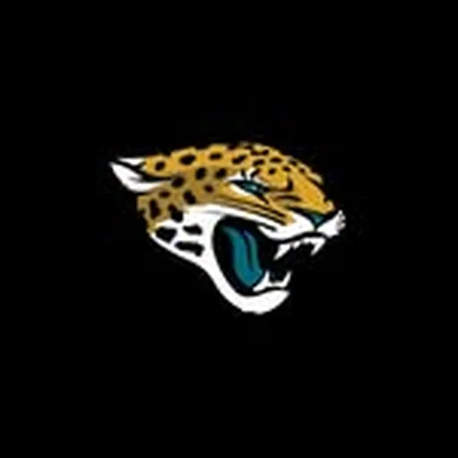 @jaguars profile image