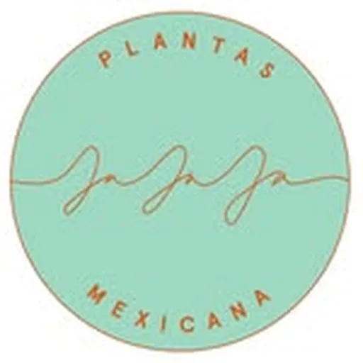 @jajajamexicana profile image