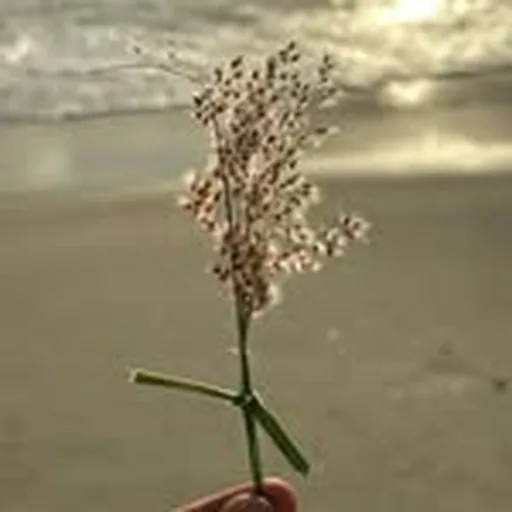 @jamie_heath profile image