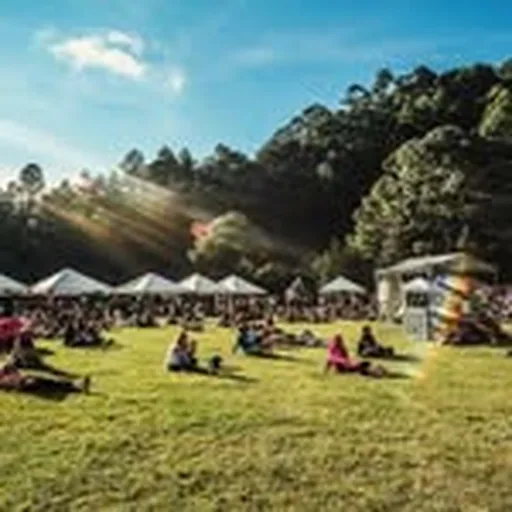 @jazzandrhythmsfestival profile image