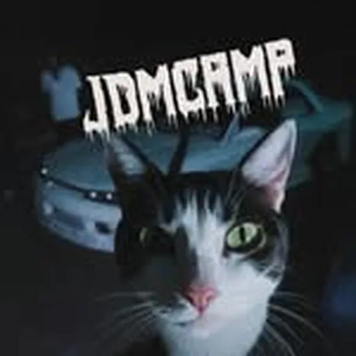 @jdmcamp profile image