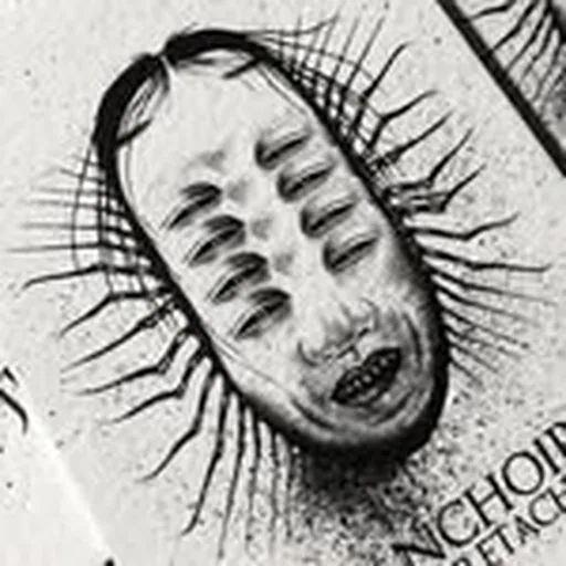 @jeanchoir_tattoo profile image