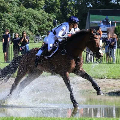 @jemimahowden_eventing profile image