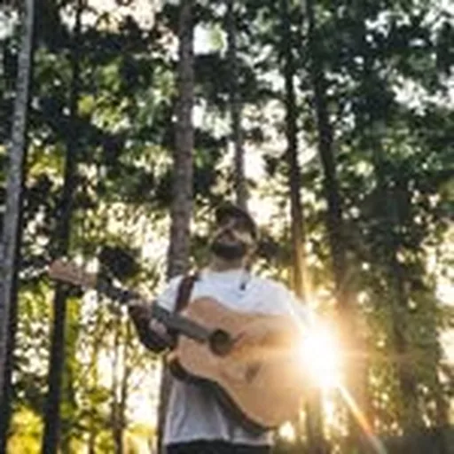@jessetaylorau profile image