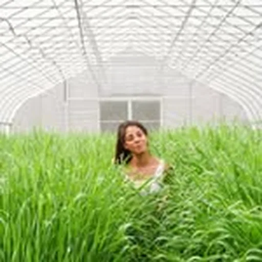 @jessithefarmer profile image