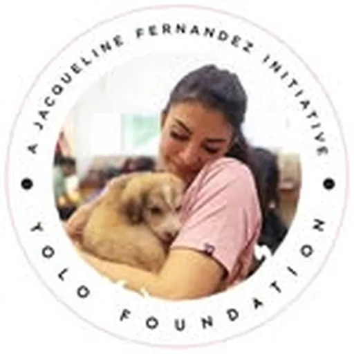 @jf.yolofoundation profile image