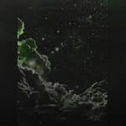 @jgrxxn profile image
