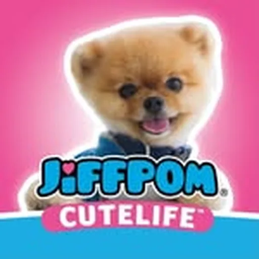 @jiffpomcutelife profile image