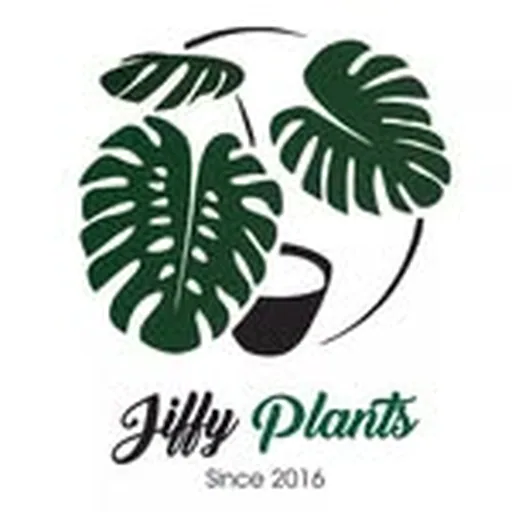 @jiffyplants profile image