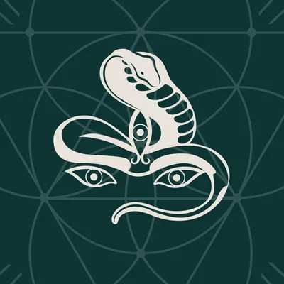 @jivamuktiyoga profile image