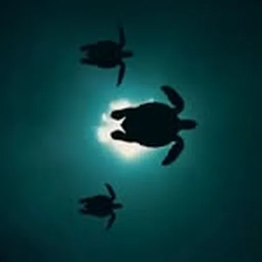@jjmccarthy profile image
