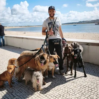 @joaosilva.dogtrainer profile image