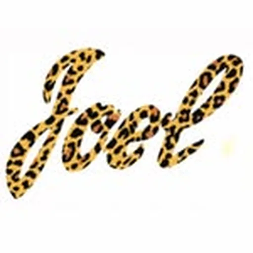 @joelmesler profile image