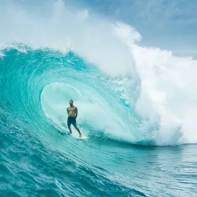 @joelparko profile image